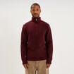 Pull avec col camionneur c&ocirc;tel&eacute; prune homme
