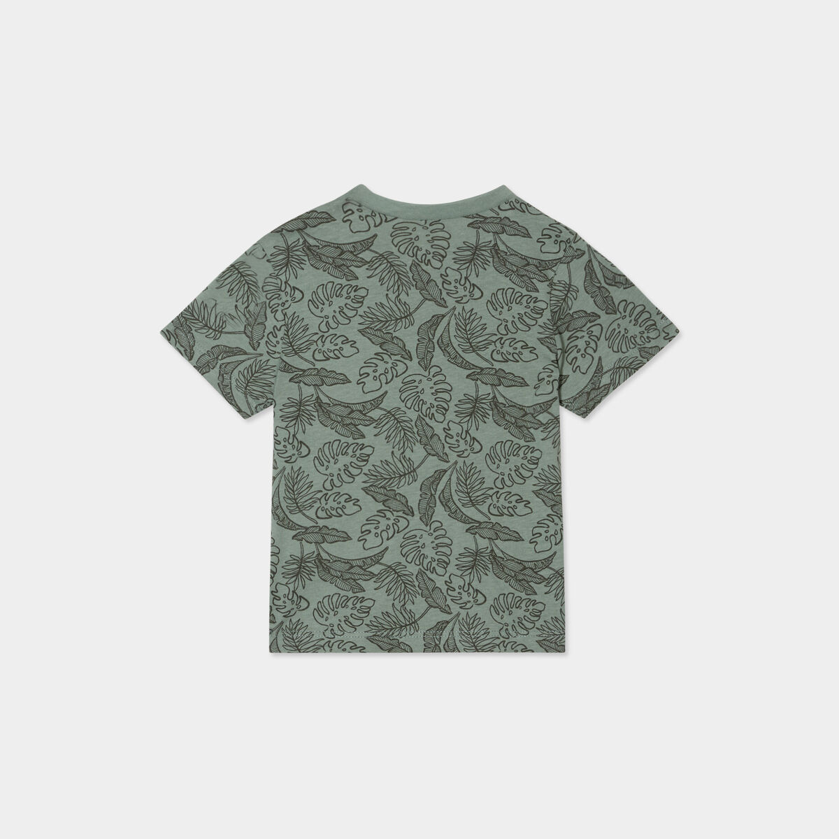 T-shirt col rond manches courtes coton vert pastel b&eacute;b&eacute; gar&ccedil;on