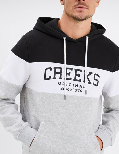 Sweat à capuche hoodie Creeks gris homme