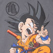 T-shirt manches courtes Dragon Ball gris fonc&eacute; gar&ccedil;on