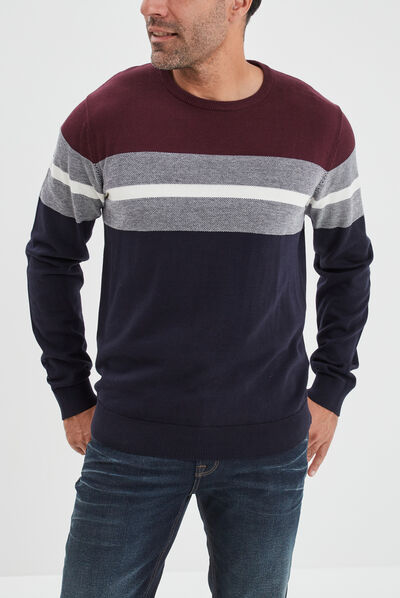 Pull col rond manches longues multicolore homme