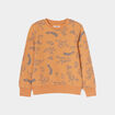 Sweat manches longues camel garçon