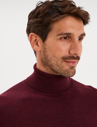 Pull col roul&eacute; manches longues violet fonc&eacute; homme