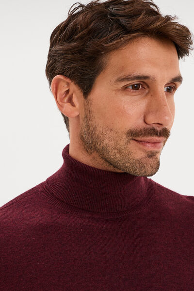 Pull col roul&eacute; manches longues violet fonc&eacute; homme