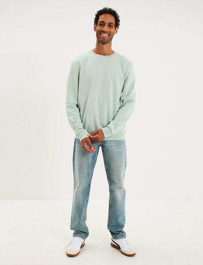 Sweat molleton col rond vert pastel homme