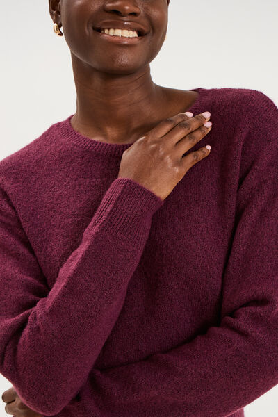 Pull col rond manches longues prune femme