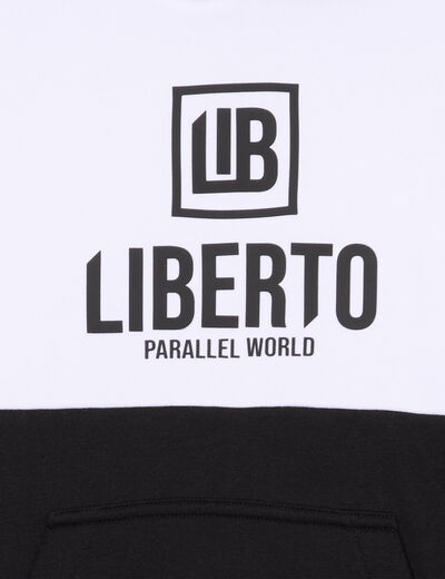Sweat à capuche hoodie Liberto gris foncé garçon