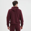 Sweat zippé molleton à capuche prune homme
