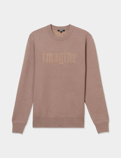 Pull col rond manches longues Liberto taupe homme