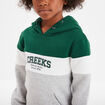 Sweat à capuche hoodie Creeks vert foncé garçon