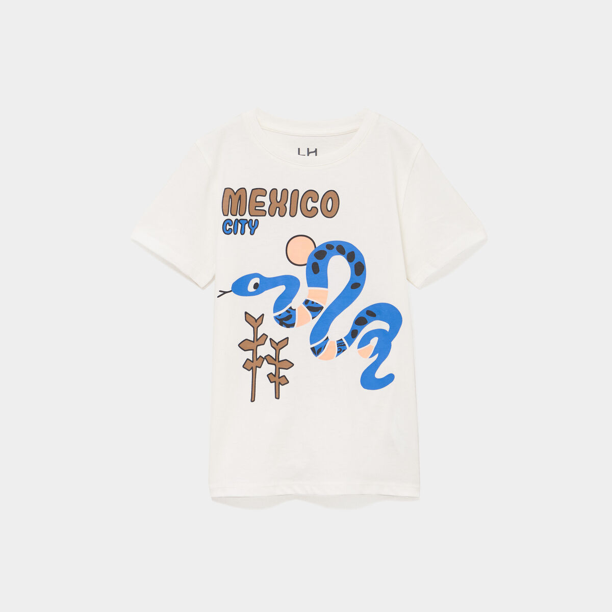 T-shirt manches courtes coton blanc gar&ccedil;on