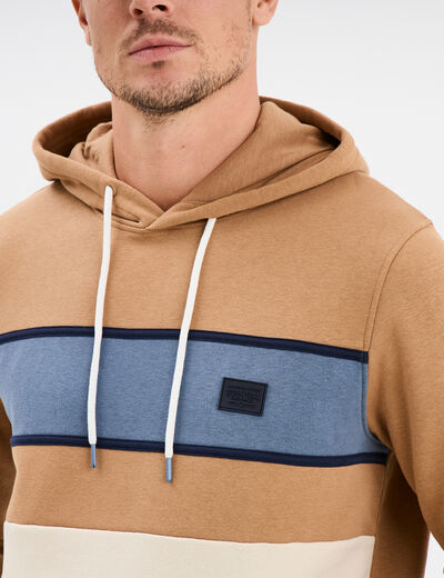 Sweat à capuche hoodie colorbloc Creeks taupe homme