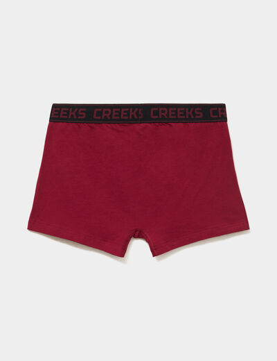 Lot 3 boxers bordeaux homme