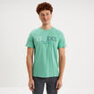 T-shirt col rond manches courtes coton vert menthe homme