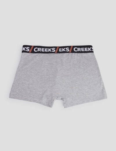 Lot 3 boxers coton Creeks noir homme