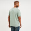 T-shirt manches courtes coton vert pastel homme