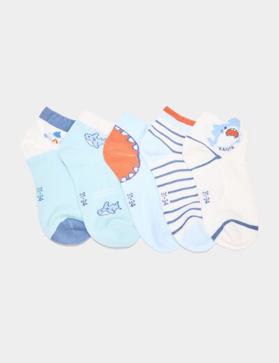 Lot 5 paires chaussettes invisibles multicolore garçon