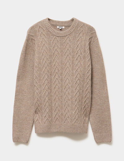 Pull col rond manches longues beige homme