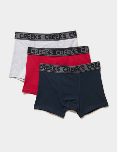 Lot 3 boxers coton majoritaire multicolore homme