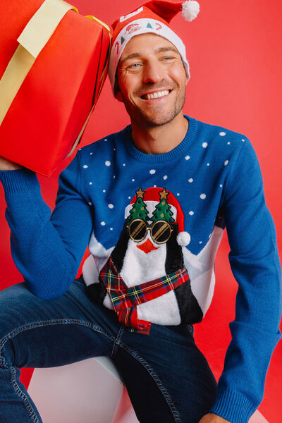 Pull de No&euml;l col rond bleu homme