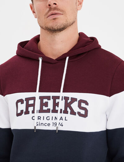 Sweat à capuche hoodie Creeks prune homme