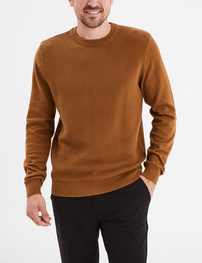 Pull col rond coton manches longues marron homme