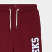 Pantalon de jogging regular bordeaux garçon