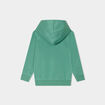 Sweat à capuche hoodie Creeks vert garçon