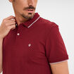Polo manches courtes bords contrastés bordeaux homme