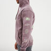 Sweat hoodie à capuche Rick et Morty parme homme