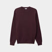 Pull col rond manches longues prune homme