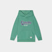 Sweat à capuche hoodie Creeks vert garçon