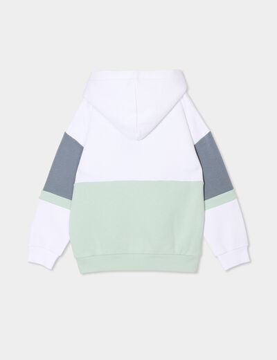 Sweat à capuche hoodie Liberto vert pastel garçon