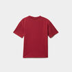 T-shirt col rond Gryffondor Harry Potter rouge fonc&eacute; gar&ccedil;on