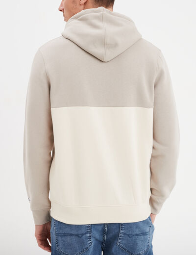Sweat à capuche hoodie Creeks gris clair homme