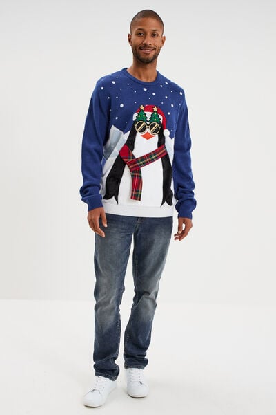 Pull de No&euml;l col rond bleu homme