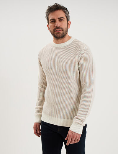 Pull c&ocirc;tel&eacute; col rond manches longues gris clair homme