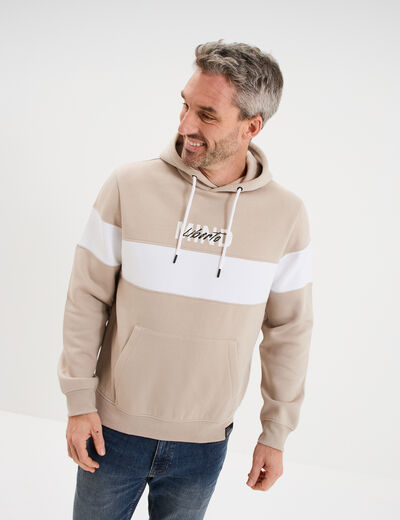 Sweat hoodie molleton manches longues gris clair homme