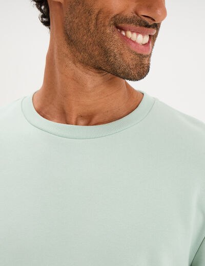 Sweat molleton col rond vert pastel homme