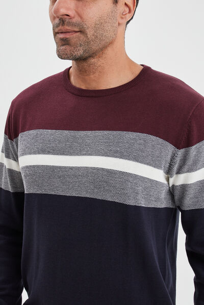 Pull col rond manches longues multicolore homme