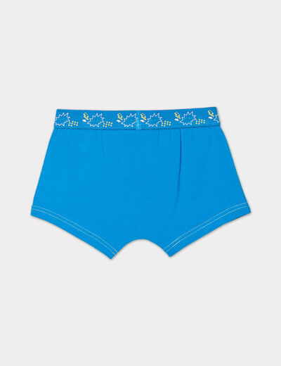 Lot 3 boxers en coton bleu garçon