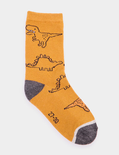 Lot 5 paires chaussettes multicolore garçon