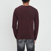 Pull manches longues Liberto prune homme