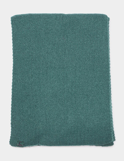 Écharpe Creeks vert homme