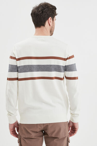 Pull col rond manches longues multicolore homme