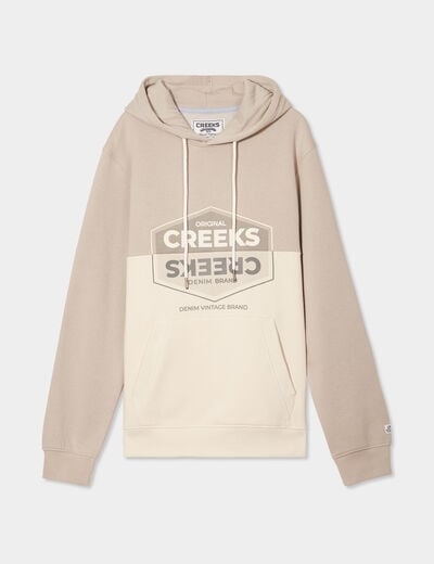 Sweat à capuche hoodie Creeks gris clair homme