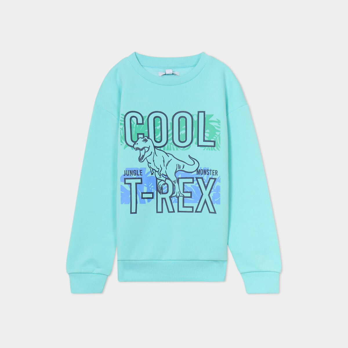 Sweat col rond manches longues bleu turquoise gar&ccedil;on
