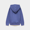 Sweat hoodie L'&Eacute;cole des licornes gris fille