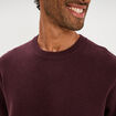 Pull col rond manches longues prune homme
