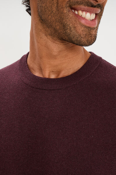 Pull col rond manches longues prune homme